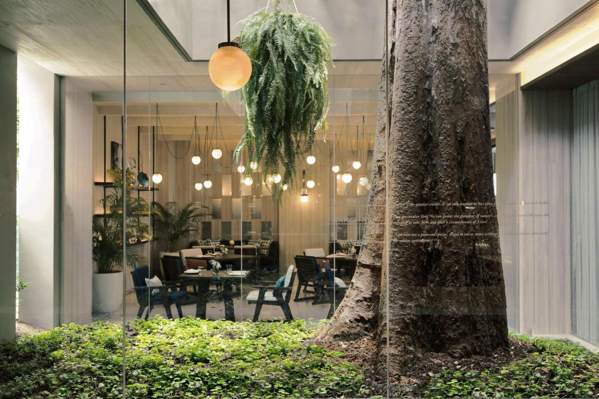 Hyatt Regency Koh Samui Hotel Bãi biển Chaweng Ngoại thất bức ảnh The Treehouse